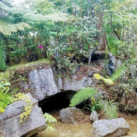 'Ama'U Lani Cottage ボルケーノ エクステリア 写真