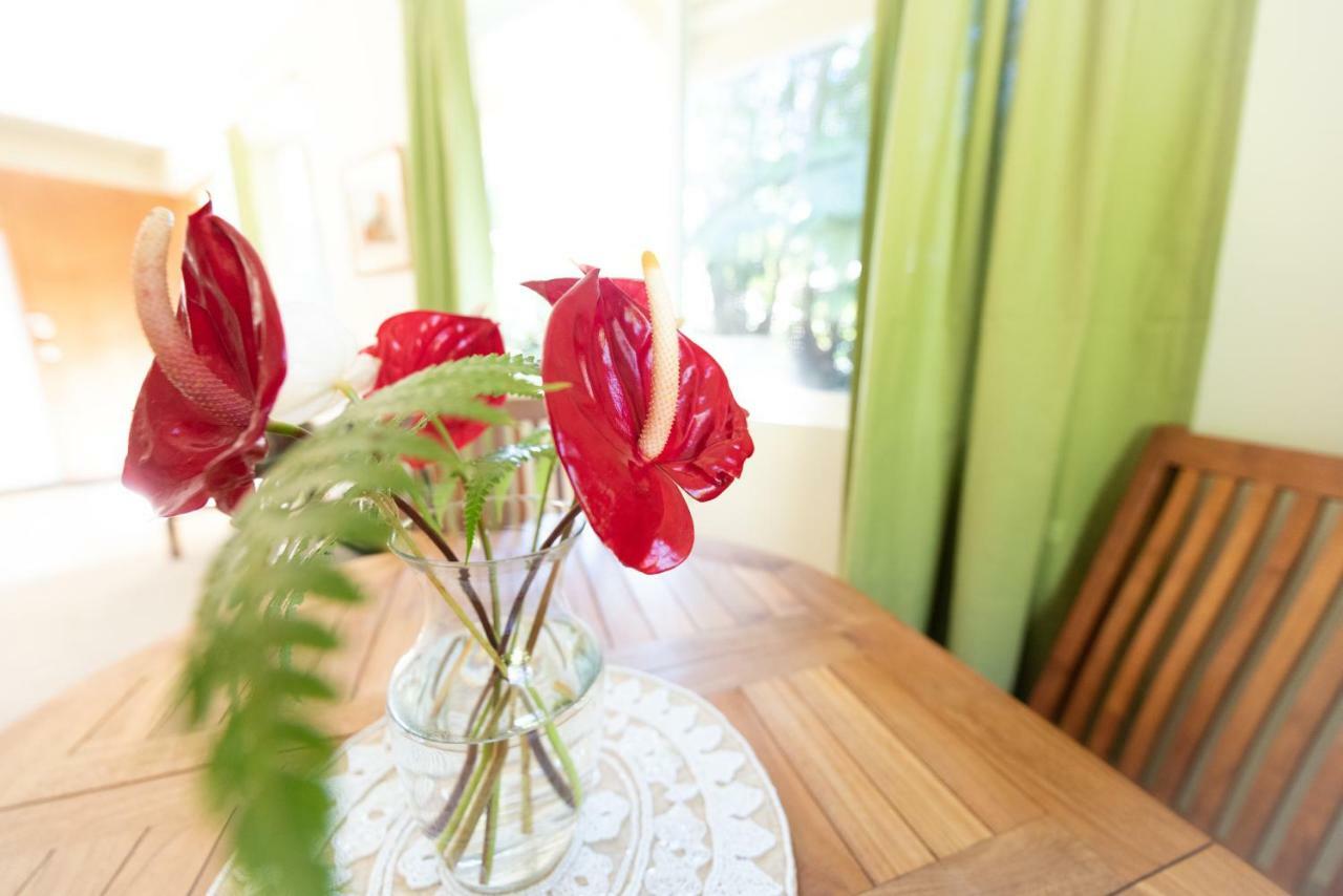 'Ama'U Lani Cottage ボルケーノ エクステリア 写真