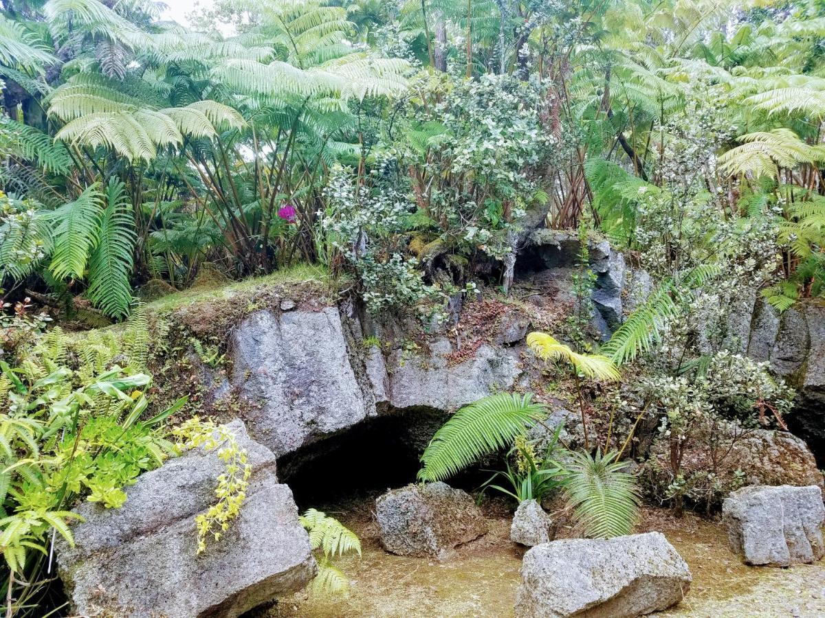 'Ama'U Lani Cottage ボルケーノ エクステリア 写真