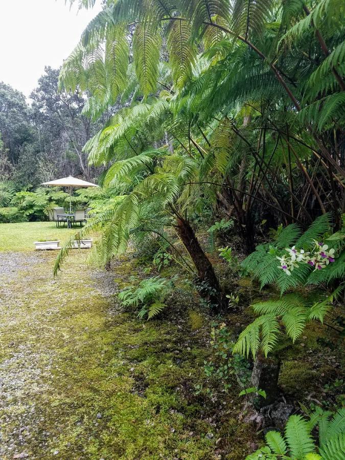 'Ama'U Lani Cottage ボルケーノ エクステリア 写真